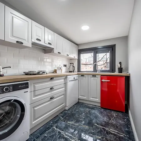 Lejlighed Artistically Designed 1br Flat With Ac In Cihangir Istanbul