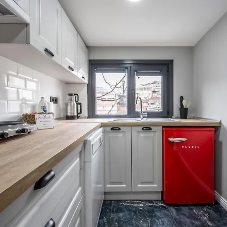 Artistically Designed 1br Flat With Ac In Cihangir