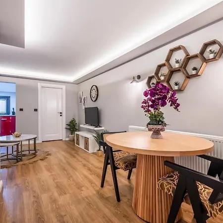Lägenhet Artistically Designed 1br Flat With Ac In Cihangir *