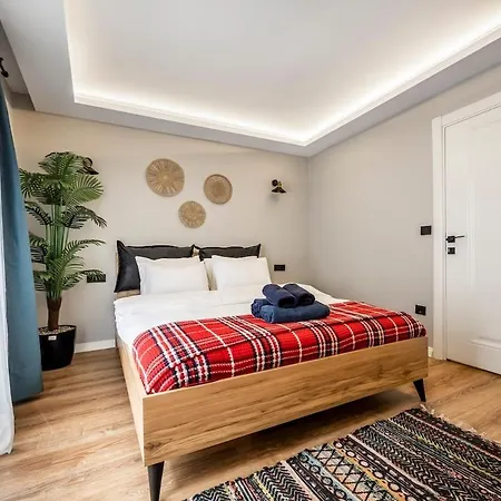 Artistically Designed 1br Flat With Ac In Cihangir